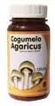 Cogumelo Agaricus Sunflower 60caps